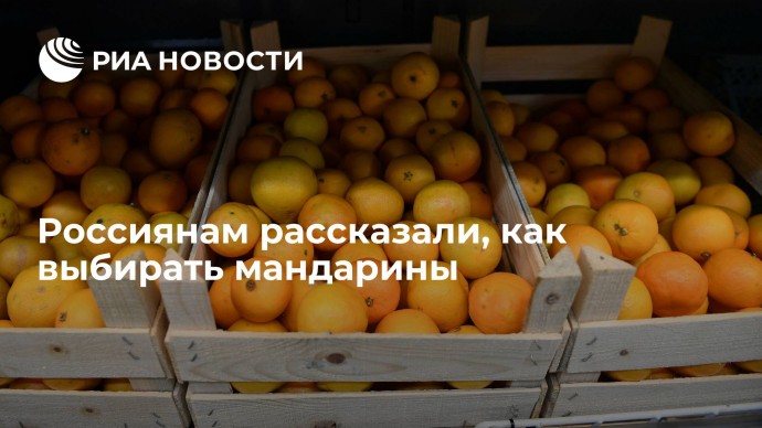 Россиянам рассказали, как выбирать мандарины